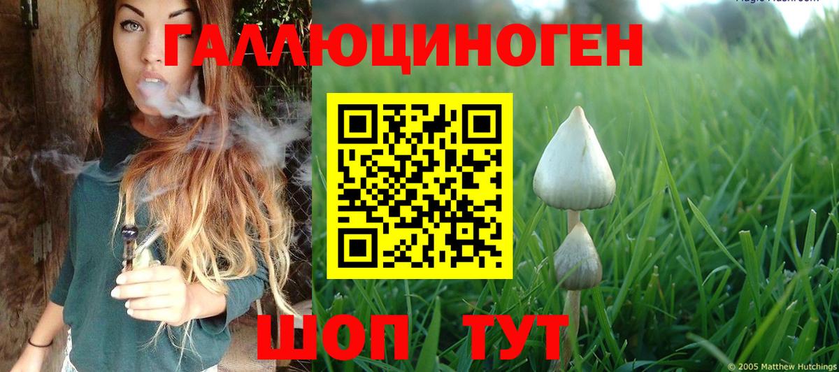 Ахтубинск  Галлюциногенные грибы Psilocybine cubensis  Вход с VPN 