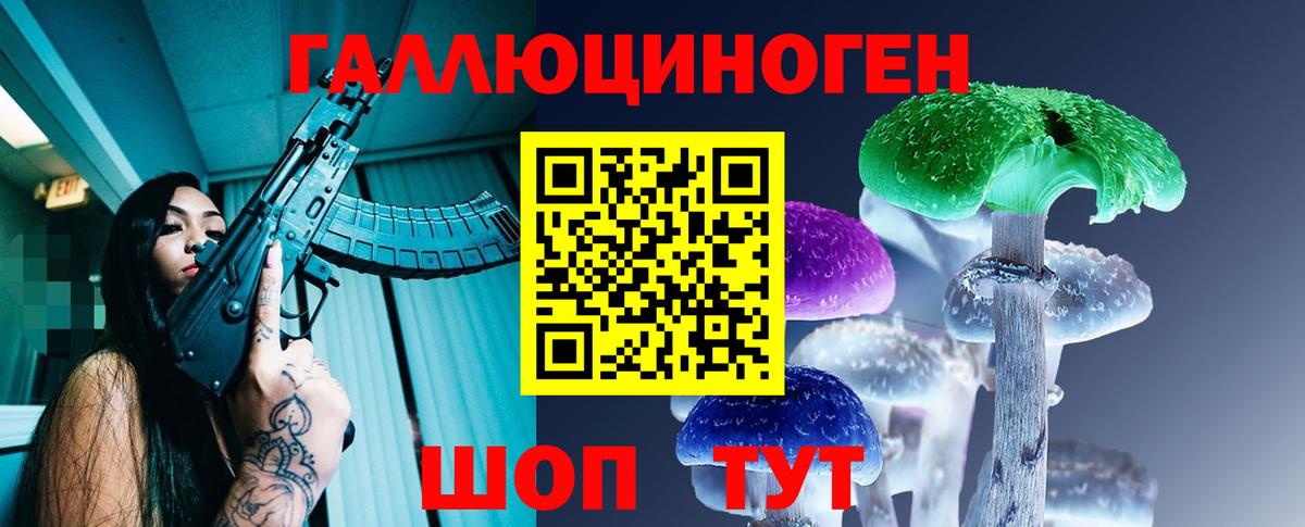 Псилоцибиновые грибы Psilocybe Ахтубинск